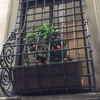 Флоренция, мощные решётки на окнах палаццо 15 - 16 веков, в заключении находятся мини мандарины,
экскурсии по Флоренции с частным индивидуальным гидом на русском языке