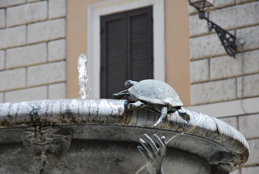 Фонтан черепах рим