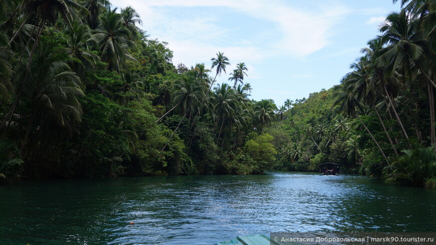 Филиппинские острова. Панглао — Бохоль — Ослоб — Моалбоал. Часть 3 