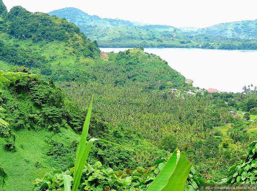 Заповедник Ваисали (Waisali Rainforest Reserve) недалеко от Савусаву. Снимок с сайта http://ttnotes.com 