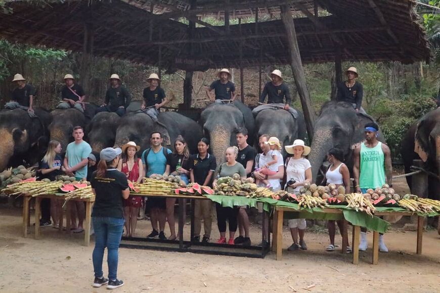 Ферма слонов на Пхукете (Kok Chang Elephant Camp)