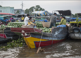 Местные арбузики... Еще в дельте Меконга выращивают более 20 млн тонн риса ежегодно...