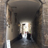 Флоренция, проход к дому Данте Алигьери, экскурсии по Флоренции и Тоскане с частным индивидуальным гидом на русском языке
