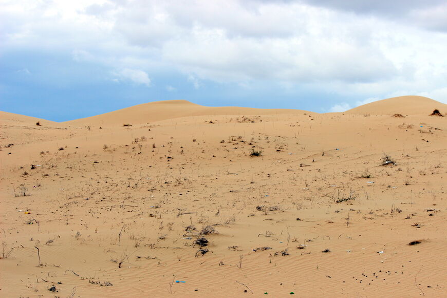 Пески Сенека