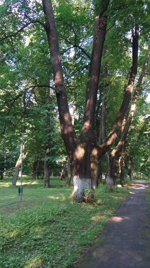 Редкий памятник деревянного зодчества под Москвой (фото + видео)