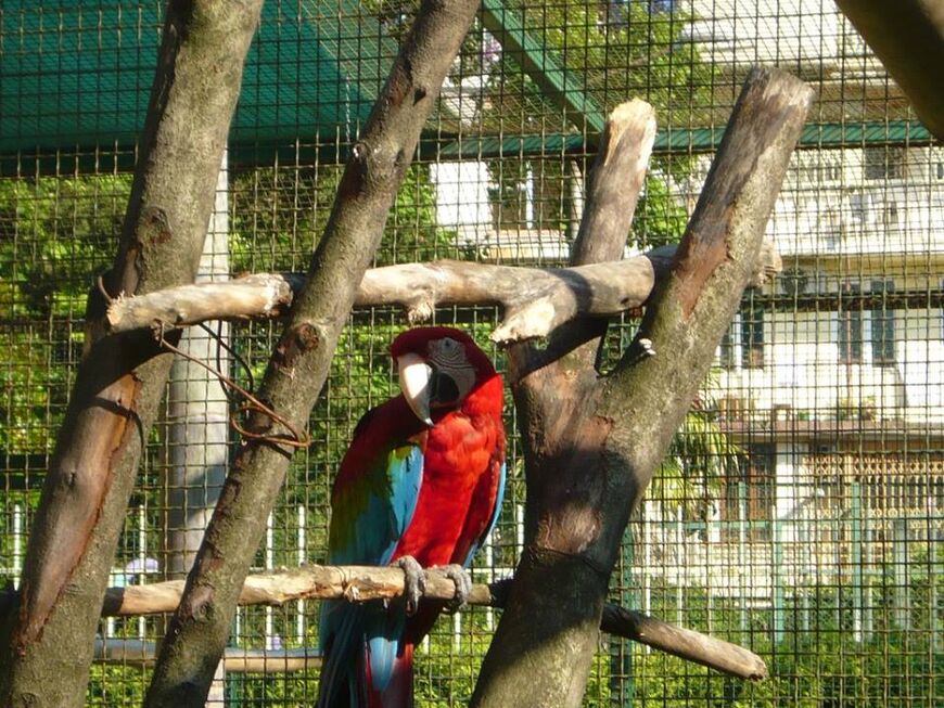 Зоопарк в Батуми