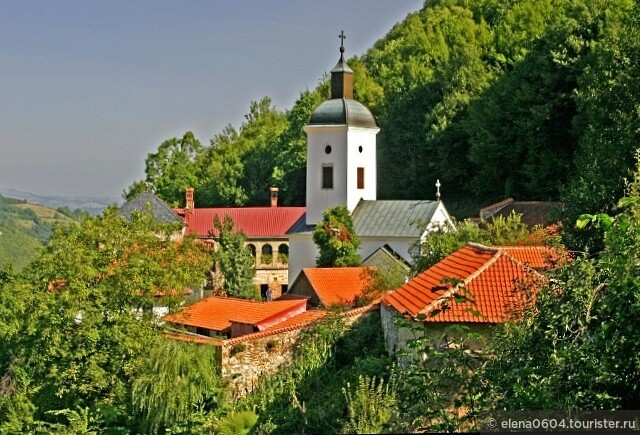 Зелёный бант Западной Моравы