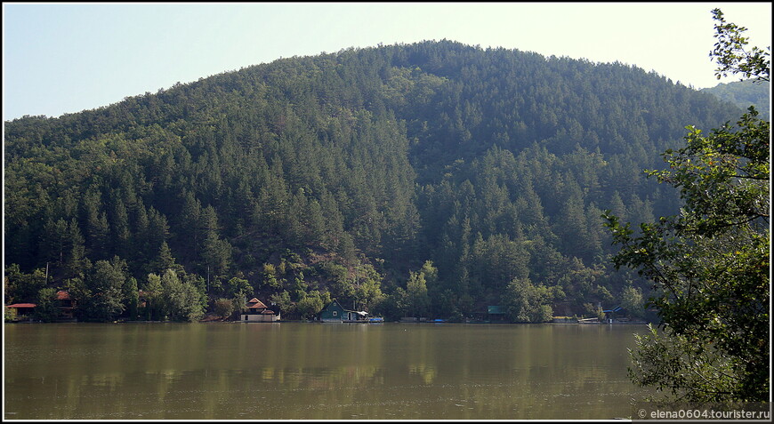 Зелёный бант Западной Моравы