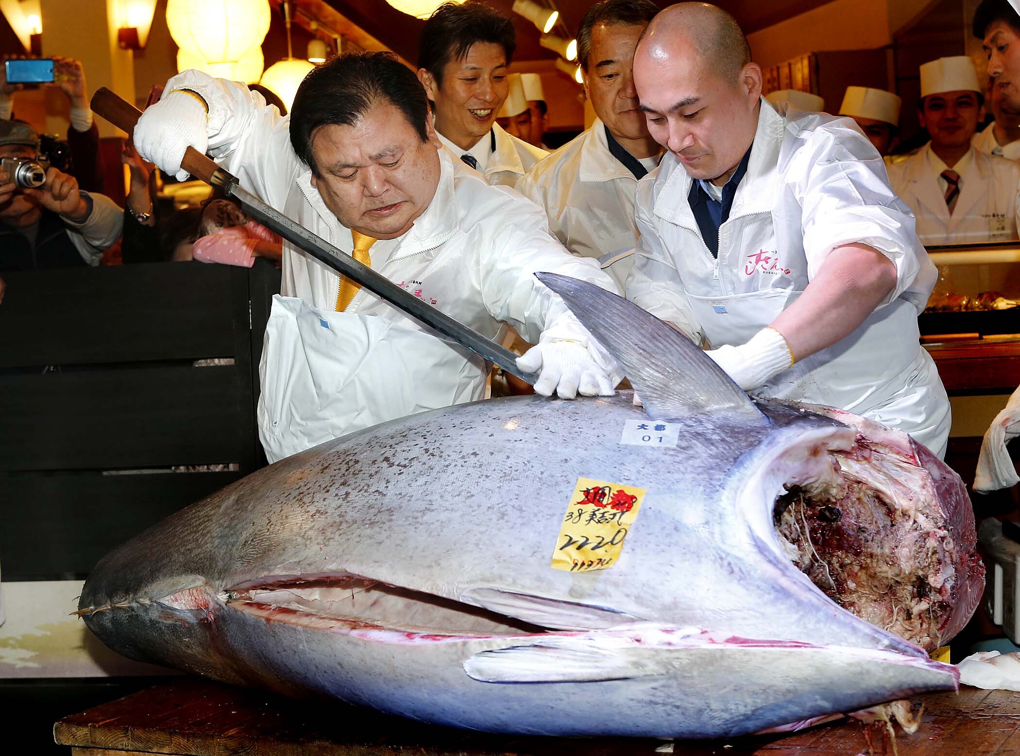 Топ-9 самых дорогих рыб на планете — блог туриста Dasha1553 на Туристер.Ру