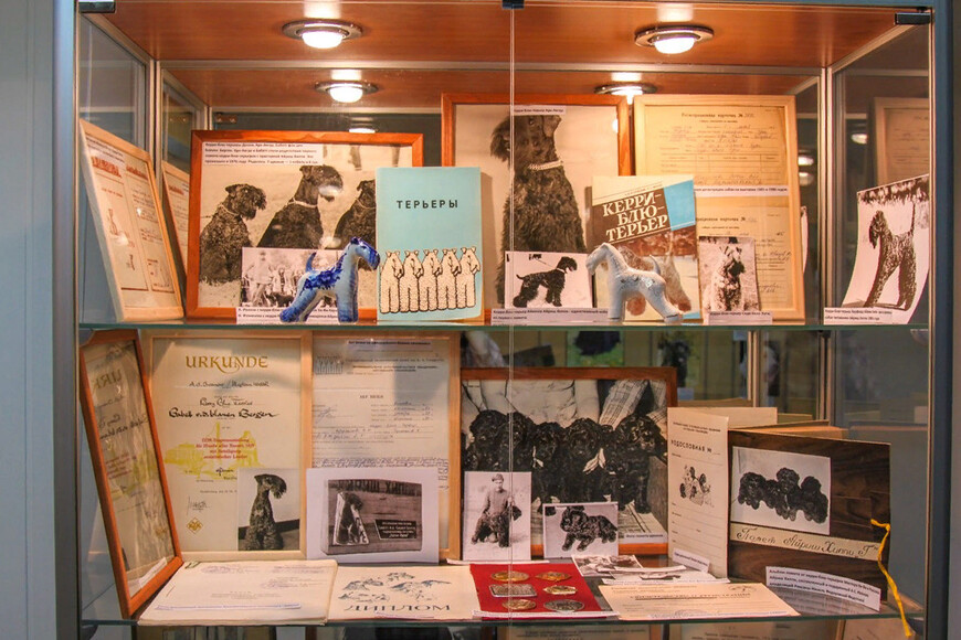 «Музей Собаки» в Москве