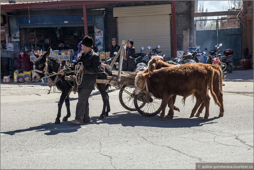 Жизнь на перекрестке. Часть 6. Каракорумское шоссе, Мустаг-Ата и рынок скота