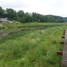 Пляж на реке Синичка в Красногорске