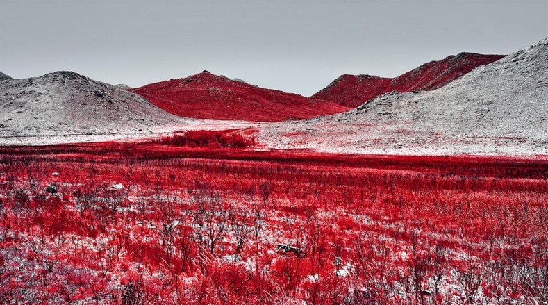 Сюрреалистичные фото Зака Ван Бильжона, превращающие привычные нам пейзажи в инопланетный мир