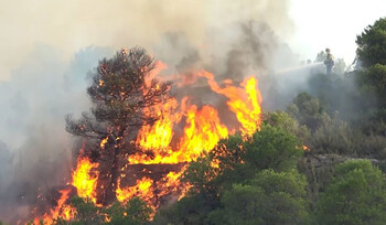 В Каталонии из-за аномальной жары начались лесные пожары 