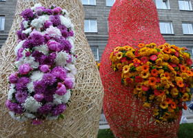 Фестиваль цветов. Новосибирск 