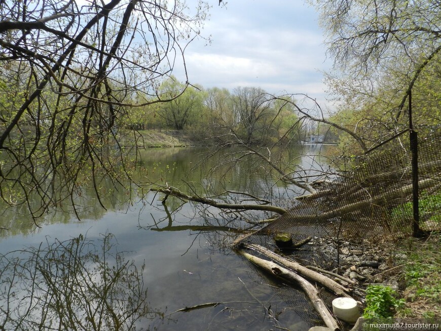 Как я искал городок Лжедмитрия II в Тушино 