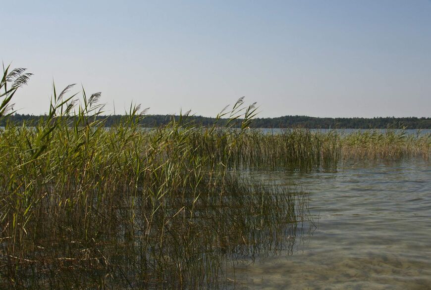 Озеро Свитязь в Республике Беларусь