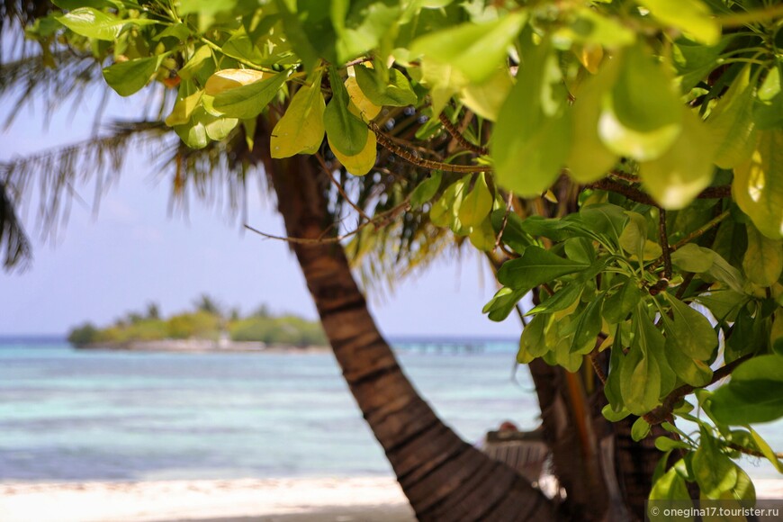 Мальдивы. Райский рай