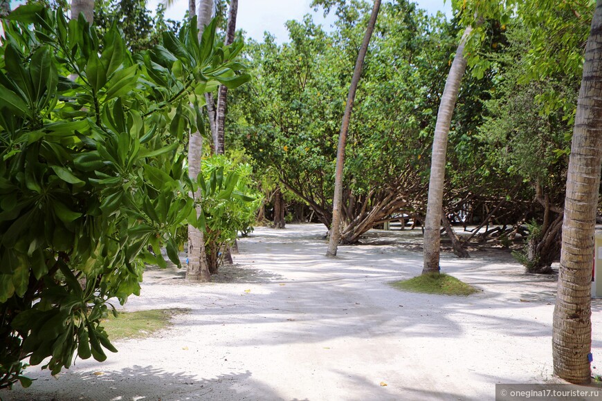 Мальдивы. Райский рай