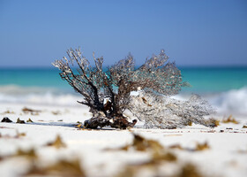 Cuba, Cayo-Largo