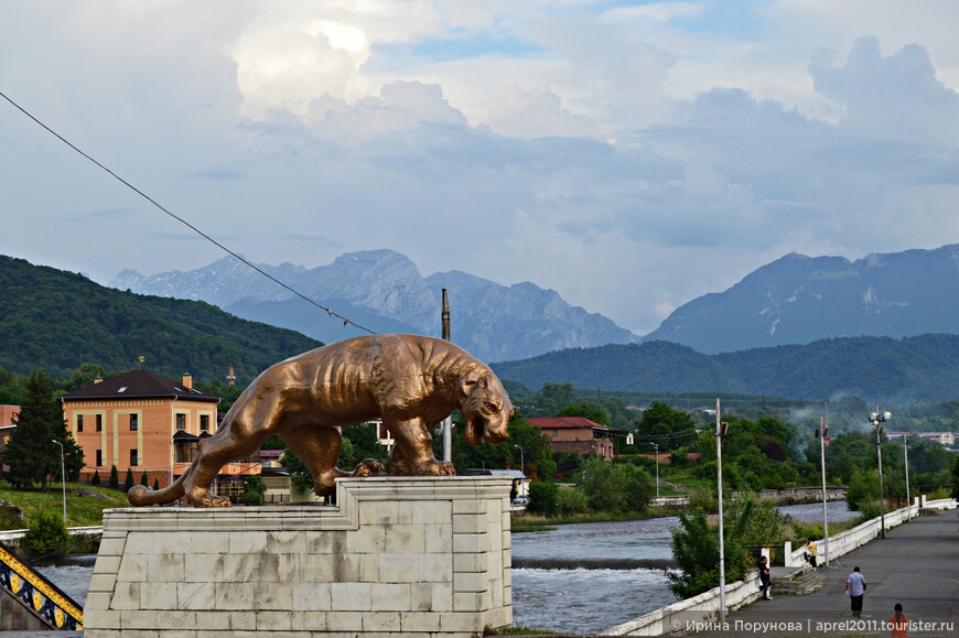 Барсы - символ Северной Осетии - Алании