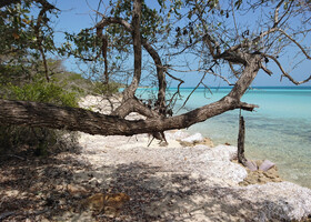 По пути к пляжу Playa Pilar