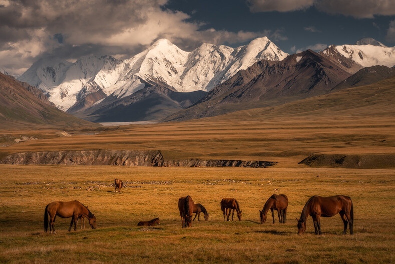 Словно с другой планеты: удивительно красивые снимки Кыргызстана в объективе голландского фотографа