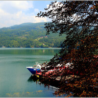 На правом побережье Дрины, на самой границе между Сербией и Боснией и Герцеговиной находится фантастичекая экосистема одного из самых красивых искусственных озер в Сербии: прекрасный Перучац. 