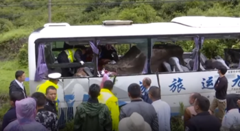 В Китае на автобус с туристами упал валун: 8 погибших 