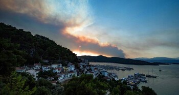 Рядом с турецкими курортами Фетхие и Даламан возник лесной пожар 