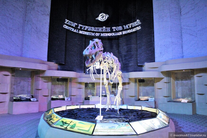 Музей динозавров