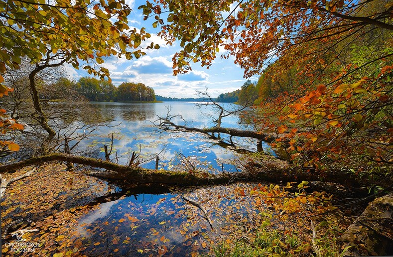 8 самых увлекательных российских национальных парков