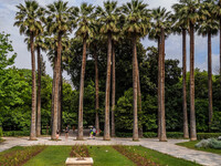 Королевский парк в  Афинах
