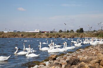 Евпатория, Россия
