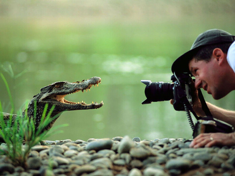 19 доказательств того, что профессия фотограф дикой природы - самая лучшая на свете