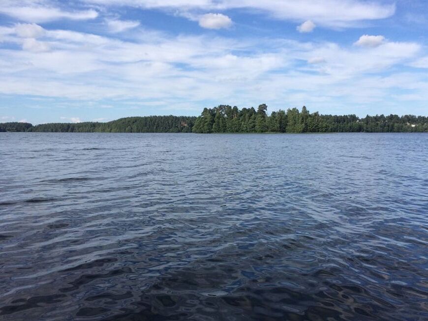 Рыбалка на реке Волчья в Ленинградской области - информация и советы