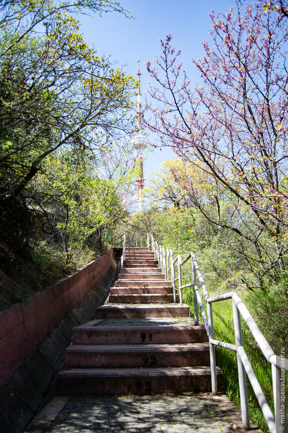  Грузия (день 8). Тбилиси: мост Мира, кафе «Габриадзе», гора Мтацминда, район Абанотубани
