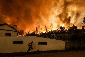 Туристов предупреждают о лесных пожарах в Португалии: уже 30 пострадавших 