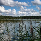 Озеро Жемчужина в Ленинградской области