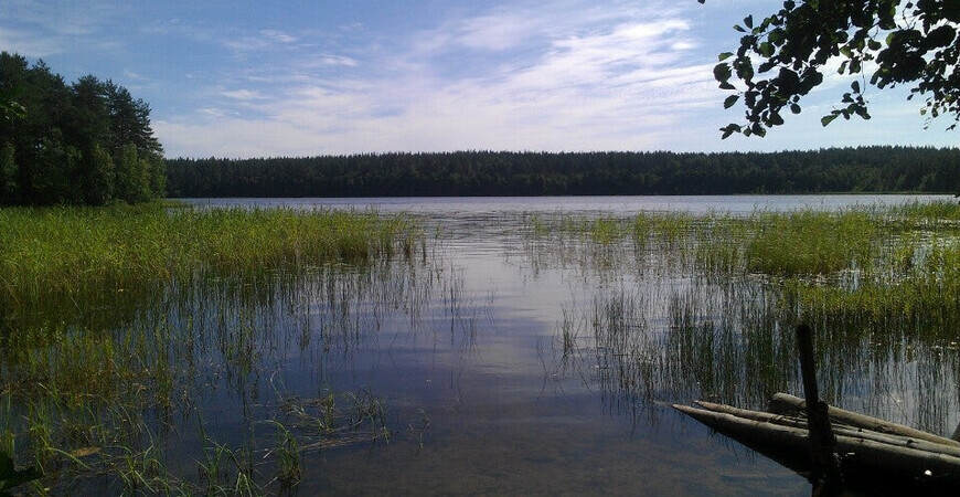 Озеро Жемчужина в Ленинградской области