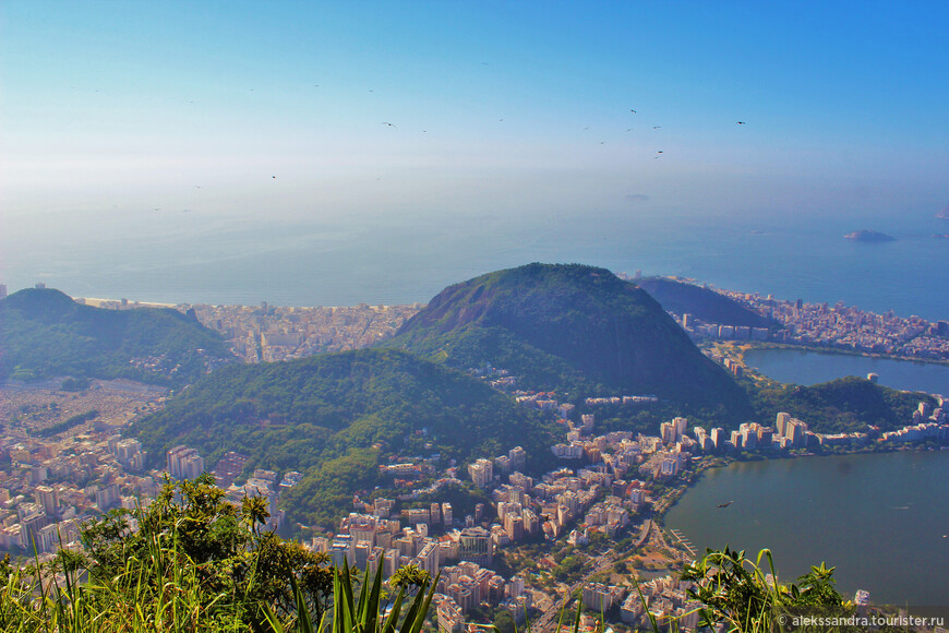 Влюбленные в Рио-де-Жанейро. Наши последние дни.