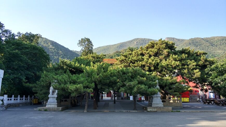 Монастырь Таньчжэ (Tanzhe Temple)