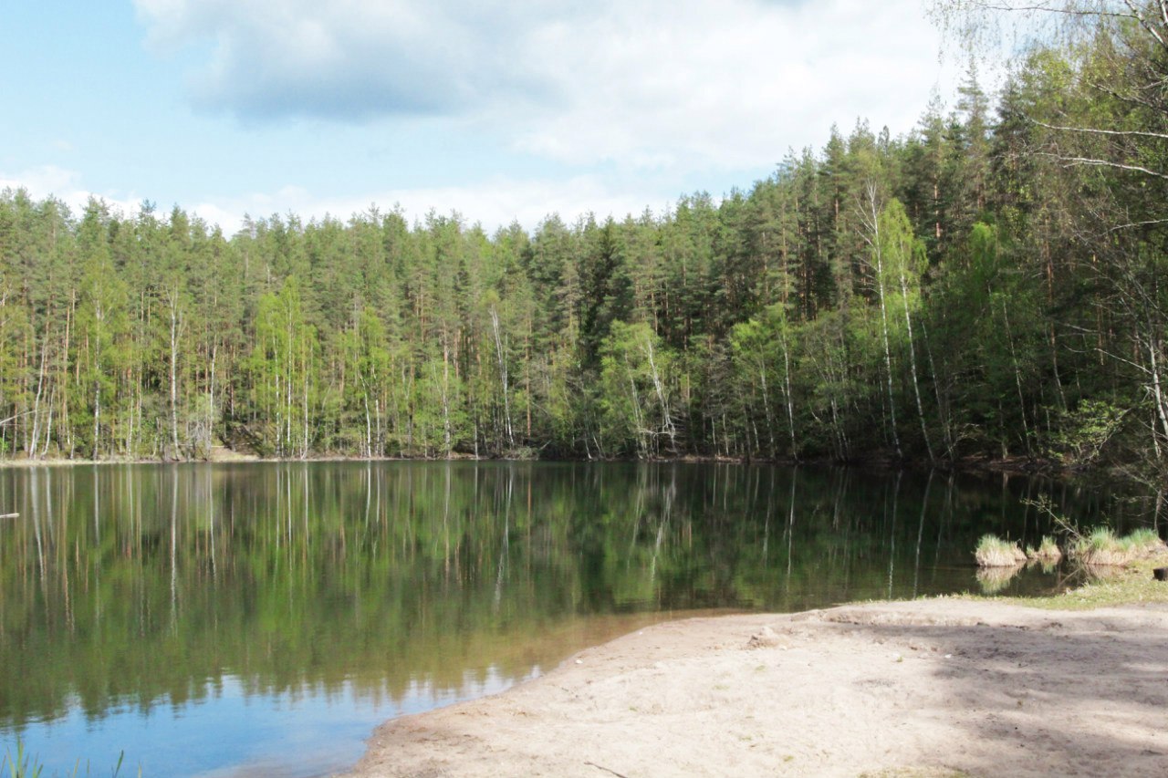 Озеро Нахимовское: рыбалка в Ленинградской области - отзывы, советы, лучшие места