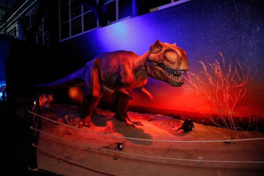 «Диноклуб» — мир динозавров