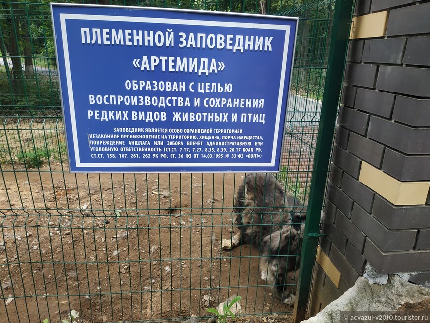 Поездка в гости к знаменитой балерине Матильде и по окрестностям...