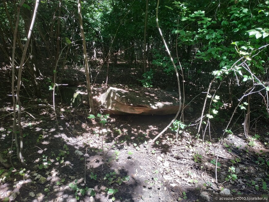 Поездка в гости к знаменитой балерине Матильде и по окрестностям...