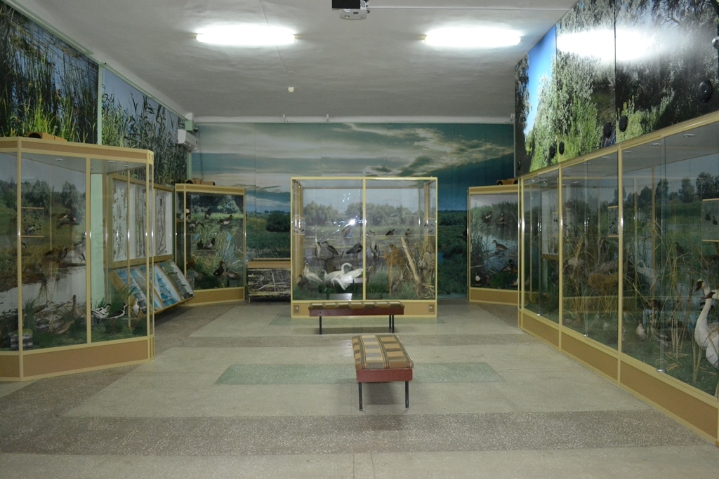 Музеи азова