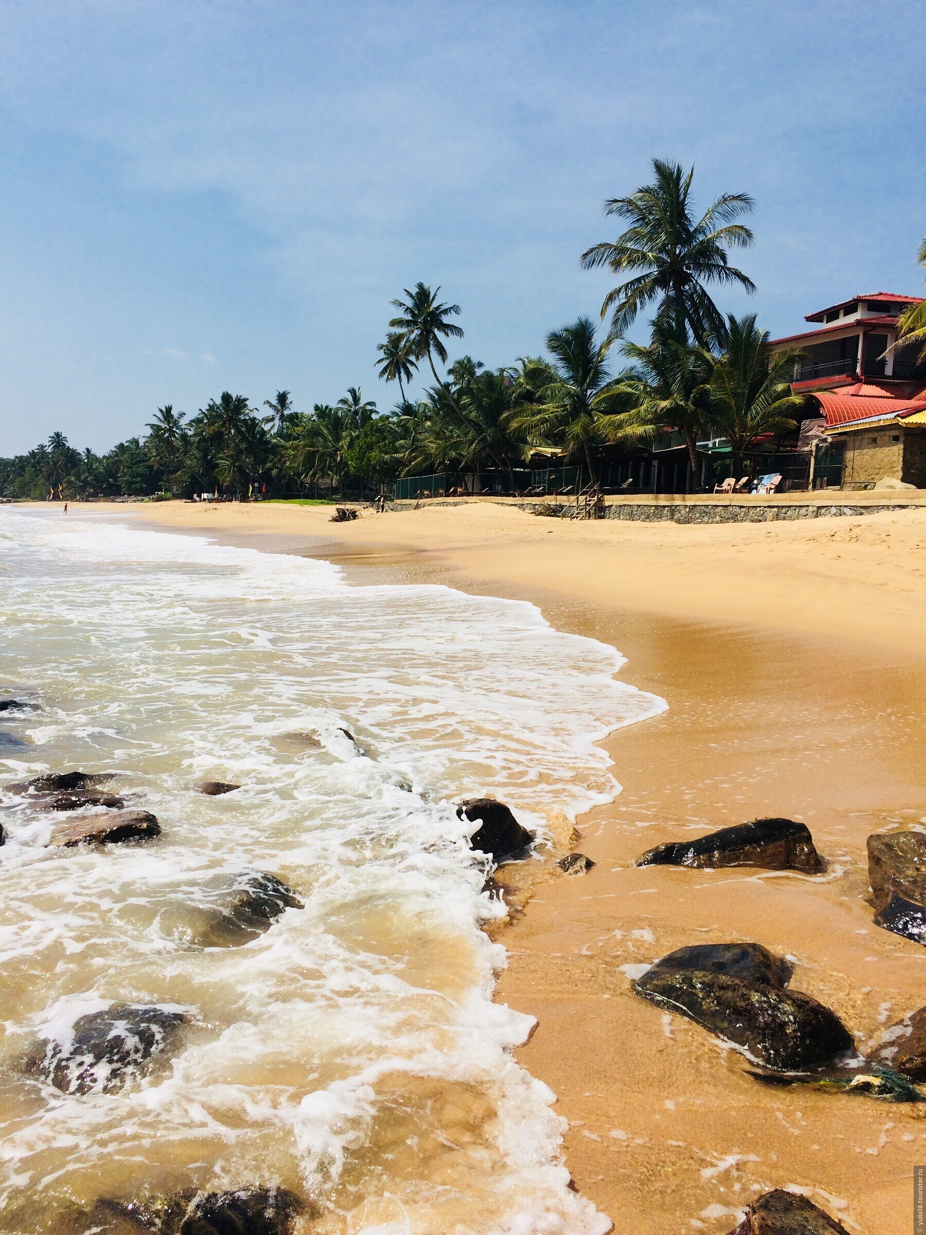 Шри ланка последние. Хиккадува Шри Ланка. Пляж Хиккадува Шри Ланка. Пляж Панадура Шри Ланка. Хиккадува коралловый риф.