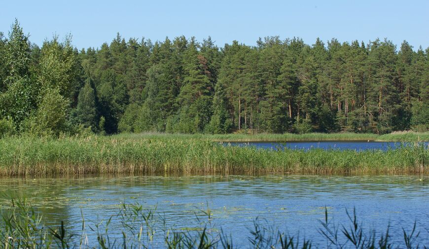Озеро Большое Святое в Нижегородской области