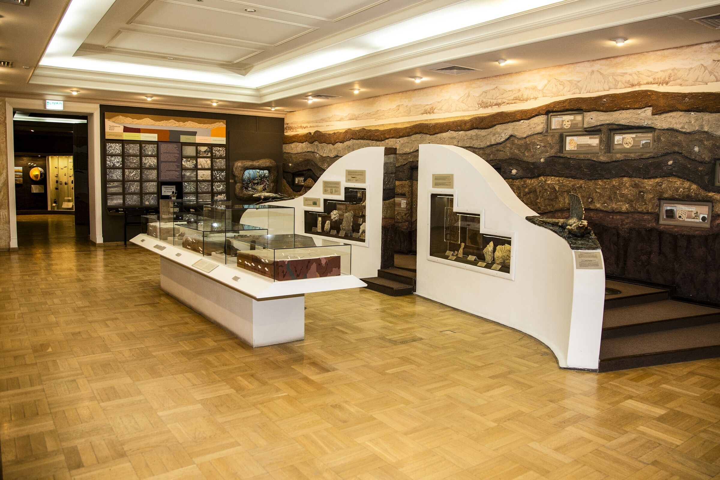 Казань музей естественной истории